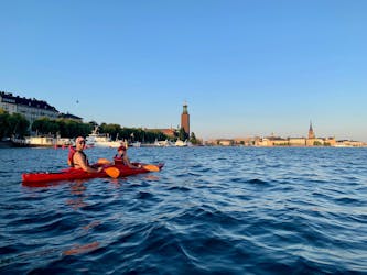 Begeleide kajak-ecotour overdag in Stockholm